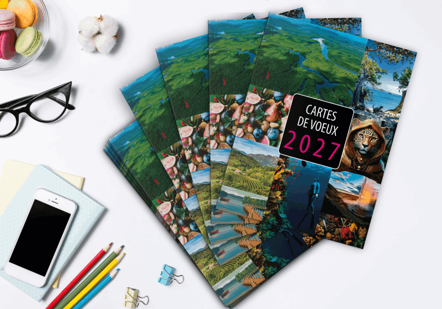 vignette_cartes-de-voeux.png